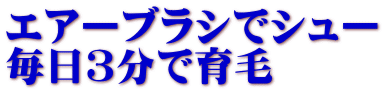 エアーブラシでシュー 毎日３分で育毛