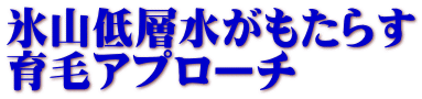 氷山低層水がもたらす 育毛アプローチ