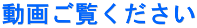 動画ご覧ください