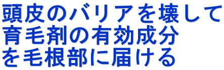 頭皮のバリアを壊して 育毛剤の有効成分 を毛根部に届ける