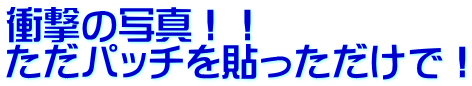 衝撃の写真！！ ただパッチを貼っただけで！