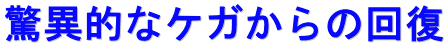 ���ٓI�ȃP�K����̉�