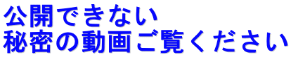公開できない 秘密の動画ご覧ください 