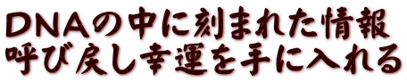 ＤＮＡの中に刻まれた情報 呼び戻し幸運を手に入れる