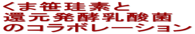 くま笹珪素と 還元発酵乳酸菌 のコラボレーション