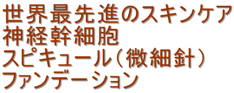 世界最先進のスキンケア 神経幹細胞 スピキュール（微細針） ファンデーション