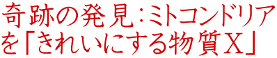 奇跡の発見：ミトコンドリア を「きれいにする物質X」