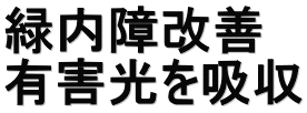 緑内障改善 有害光を吸収