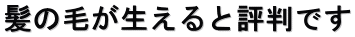 髪の毛が生えると評判です