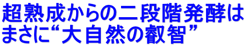 ���n������̓�i�K���y�� �܂��Ɂg�厩�R�̉b�q�h