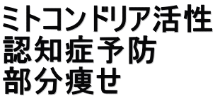 ミトコンドリア活性 認知症予防 部分痩せ